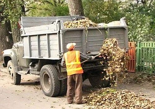 Вывоз листьев. Вывоз листвы в мешках. вывоз листьев в мешках. вывоз листвы на зил.