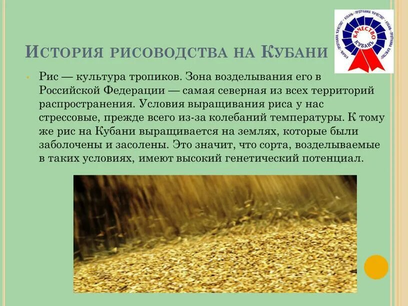 Какую почву любит лен