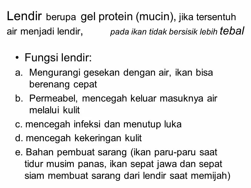 Gudang lendir. Gudang lendir. Складские запасы. Gudang lendir. Пасиры.