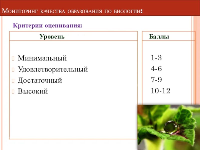 Критерии оценивания по биологии в 5 классе по ФГОС. Критерии оценивания по биологии 5 класс. Критерии оценивания тестовой работы по биологии. Критерии оценивания по биологии 9 класс. Оценка качества по биологии