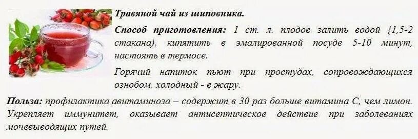 Шиповник заваренный в термосе польза. Чай с шиповником рецепт. Чай из шиповника рецепт. Чай из шиповника рецепт приготовления. Отвары из трав рецепты полезные.