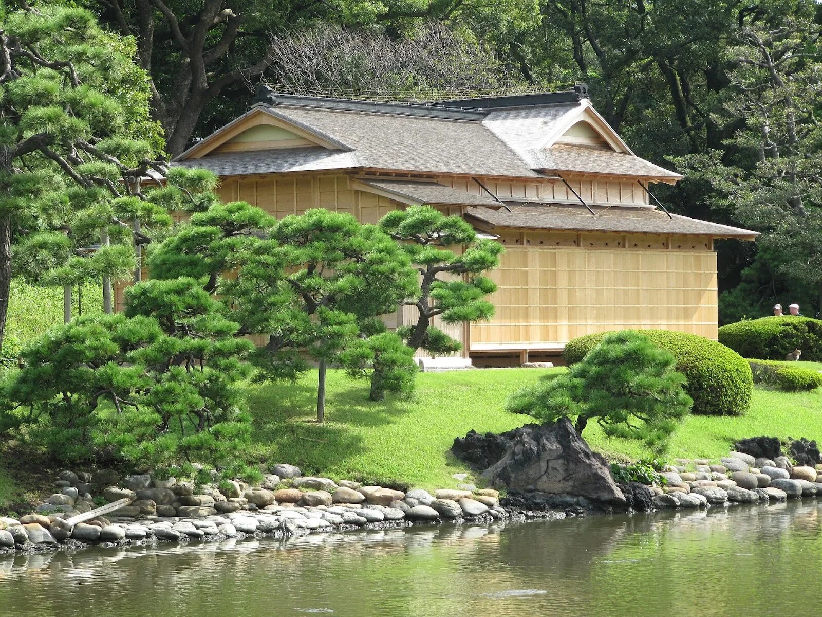 Чайный домик тясицу. Тясицу в Японии. Чайный домик Киото. Чайный дом Япония.