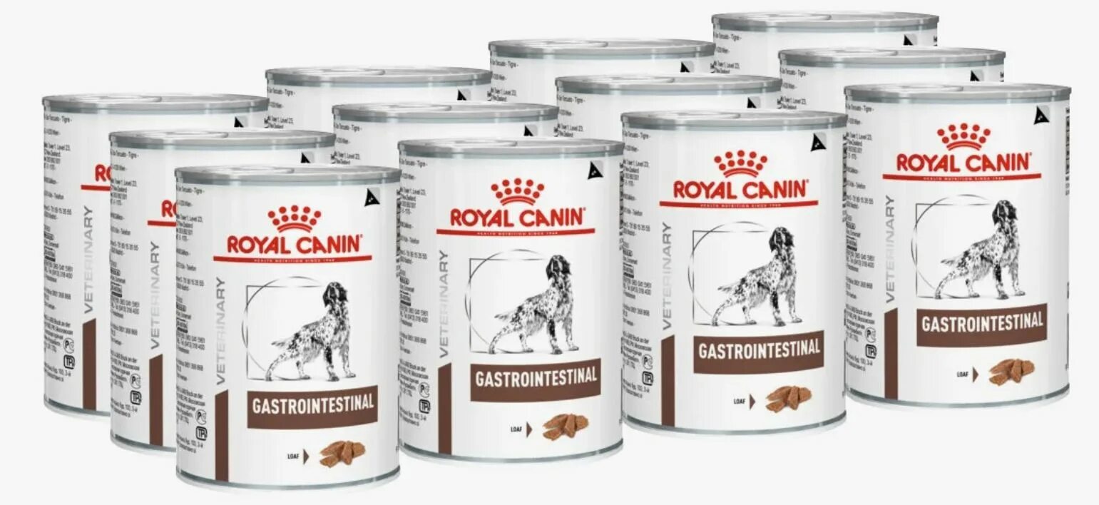 Роял канин гастро интестинал для щенков. Консервы royal canin. Роял канин гастроинтестинал паппи. Роял канин гастро интестинал паппи для собак. Роял канин для котят от 1 до 4.