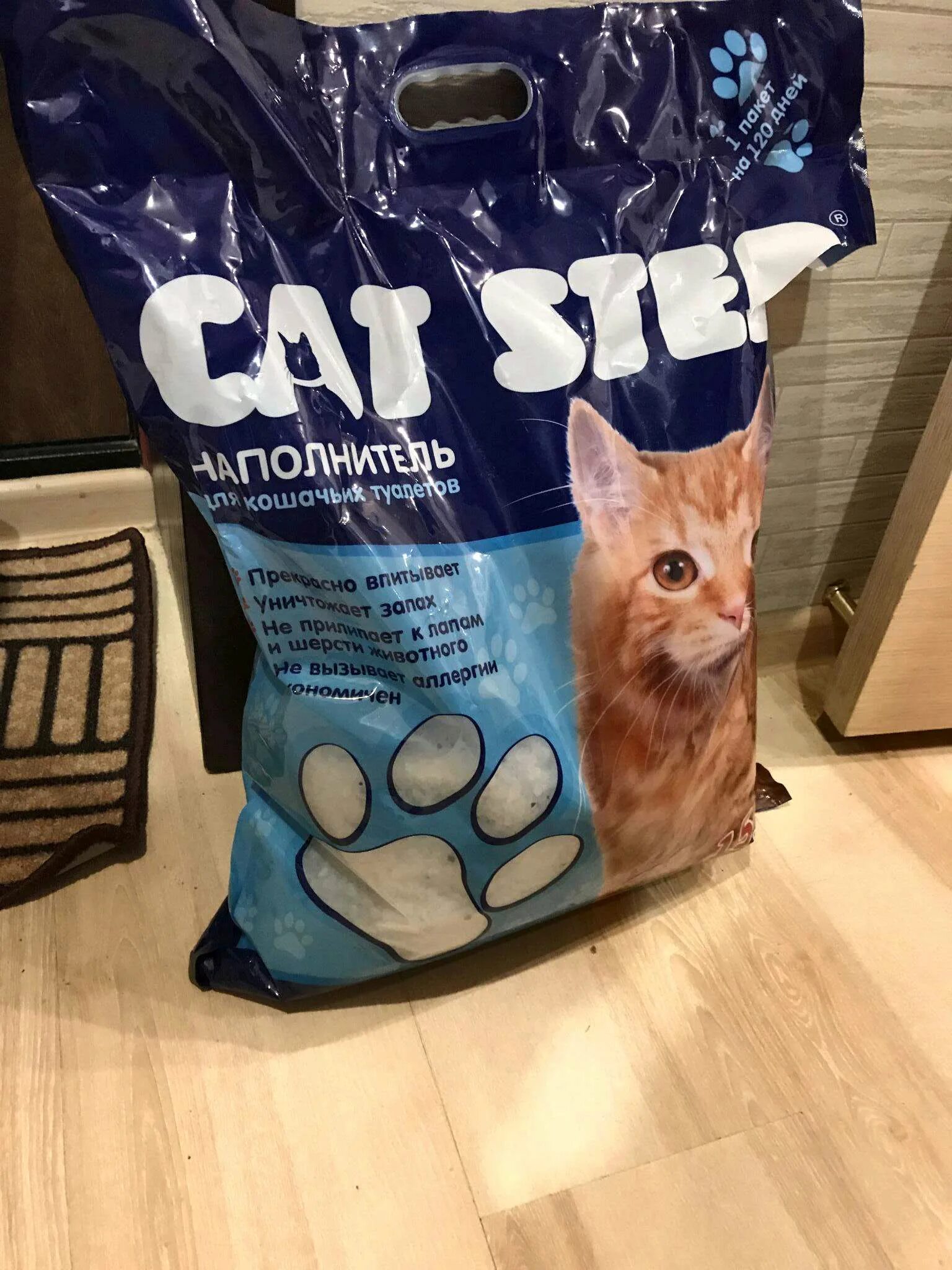 2. 6л. Cat step 15 2 л. Cat step 15 2 л. 2.