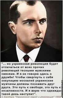 Цитаты степана