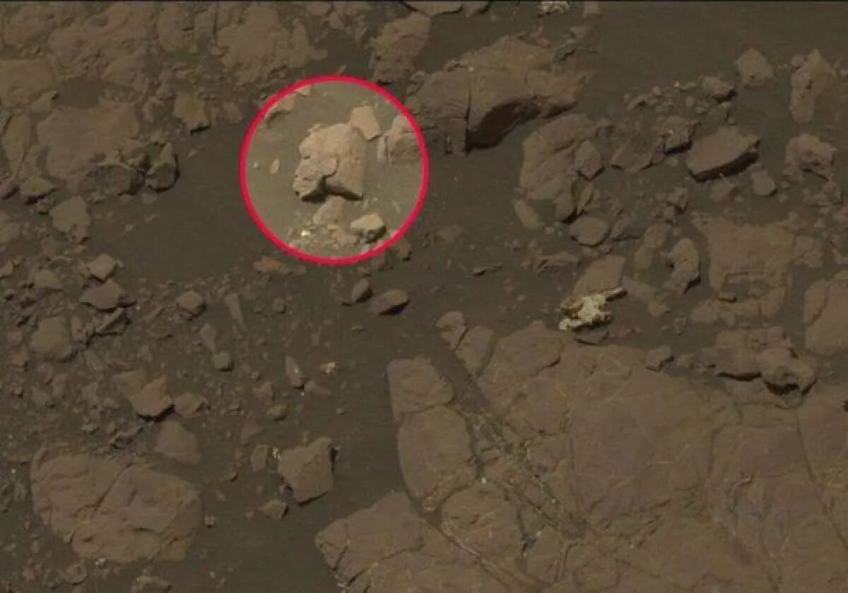 На некоторой планете был найден контейнер