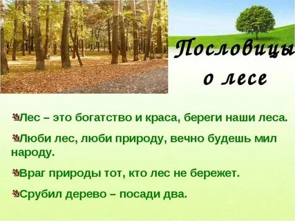 Друг зовет в лес