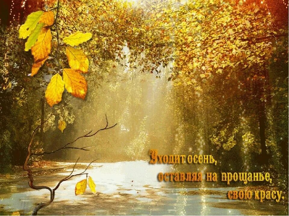 Доброе утро уходящего октября