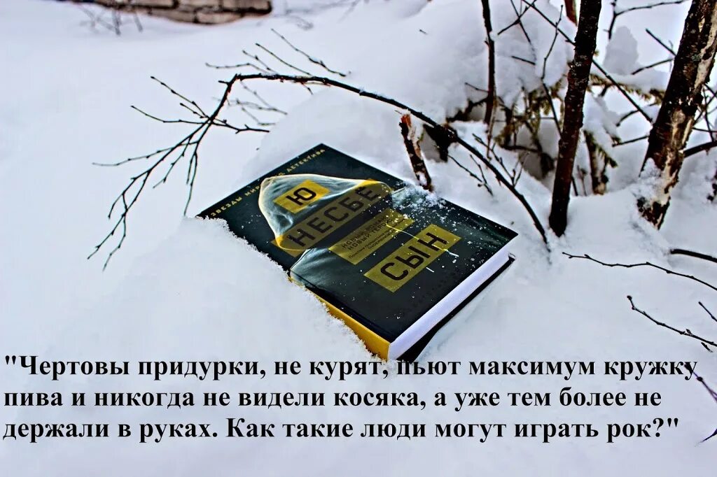 Леопард книга несбе. Сын ю несбё книга сын. книга нетопырь (несбё ю). книга леопард (несбё ю).