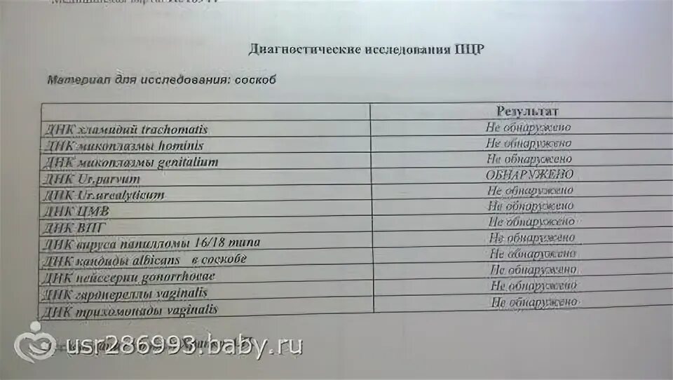 Какие иппп нужно сдать