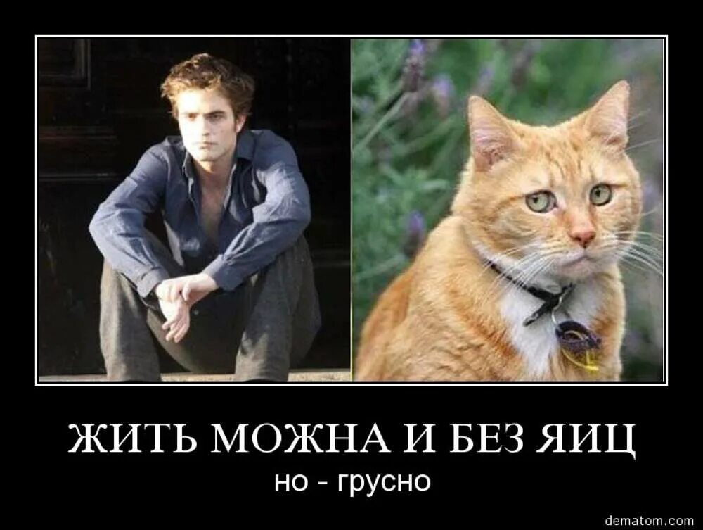 Можно живой