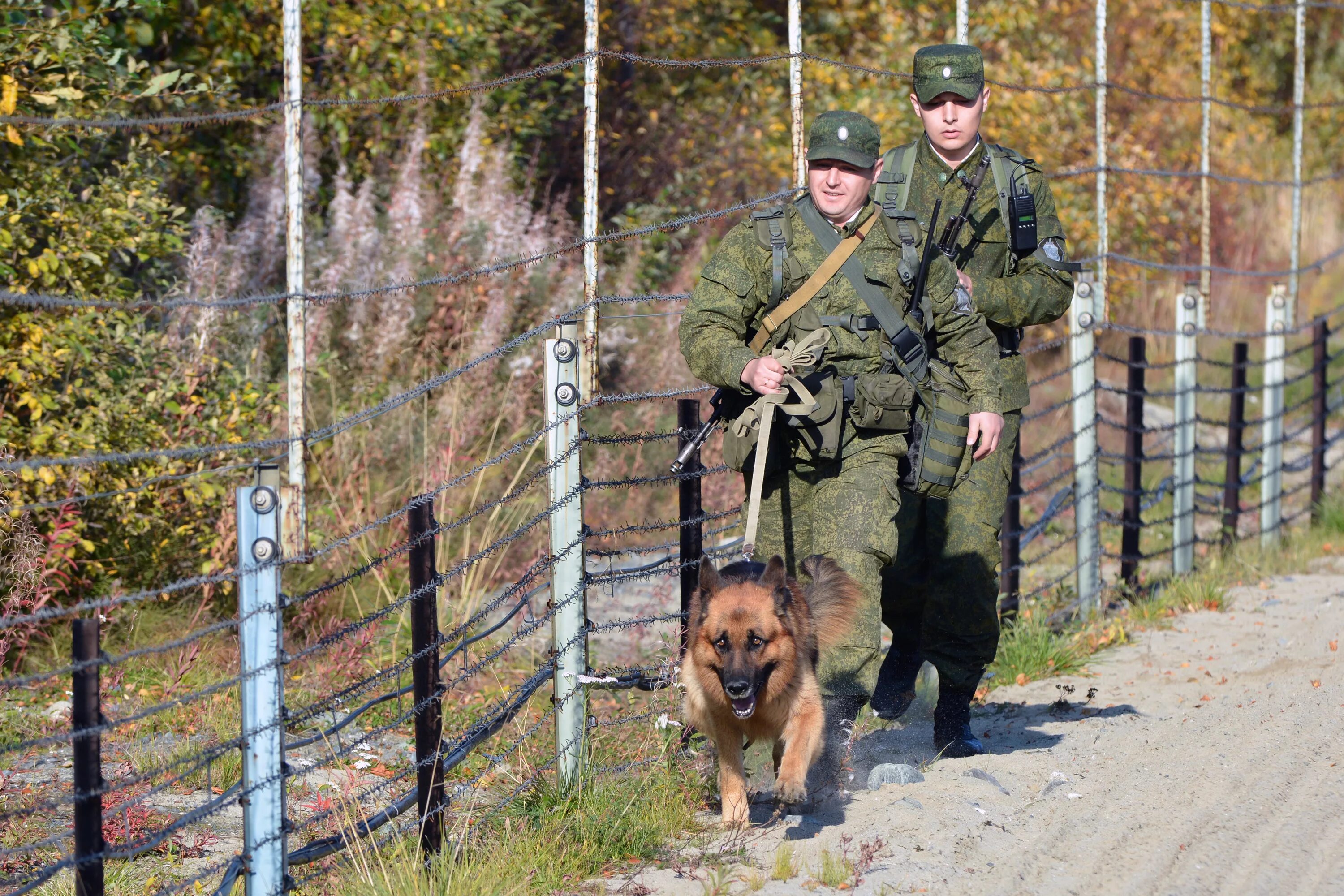 Военный дозор