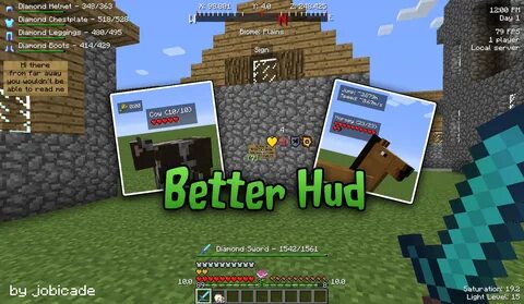 Display mod 1.16 5