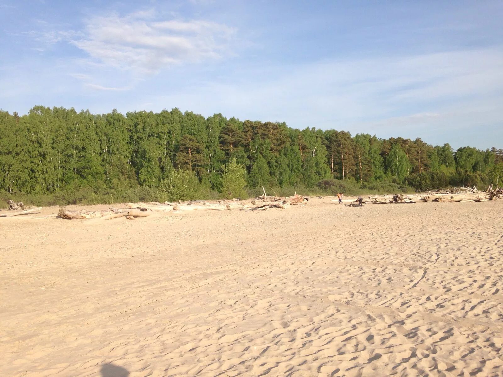 Пляж сан сити новосибирск. Обское море пляж академгородка. центральный пляж академгородка новосибирск. пляж сан сити академгородок.