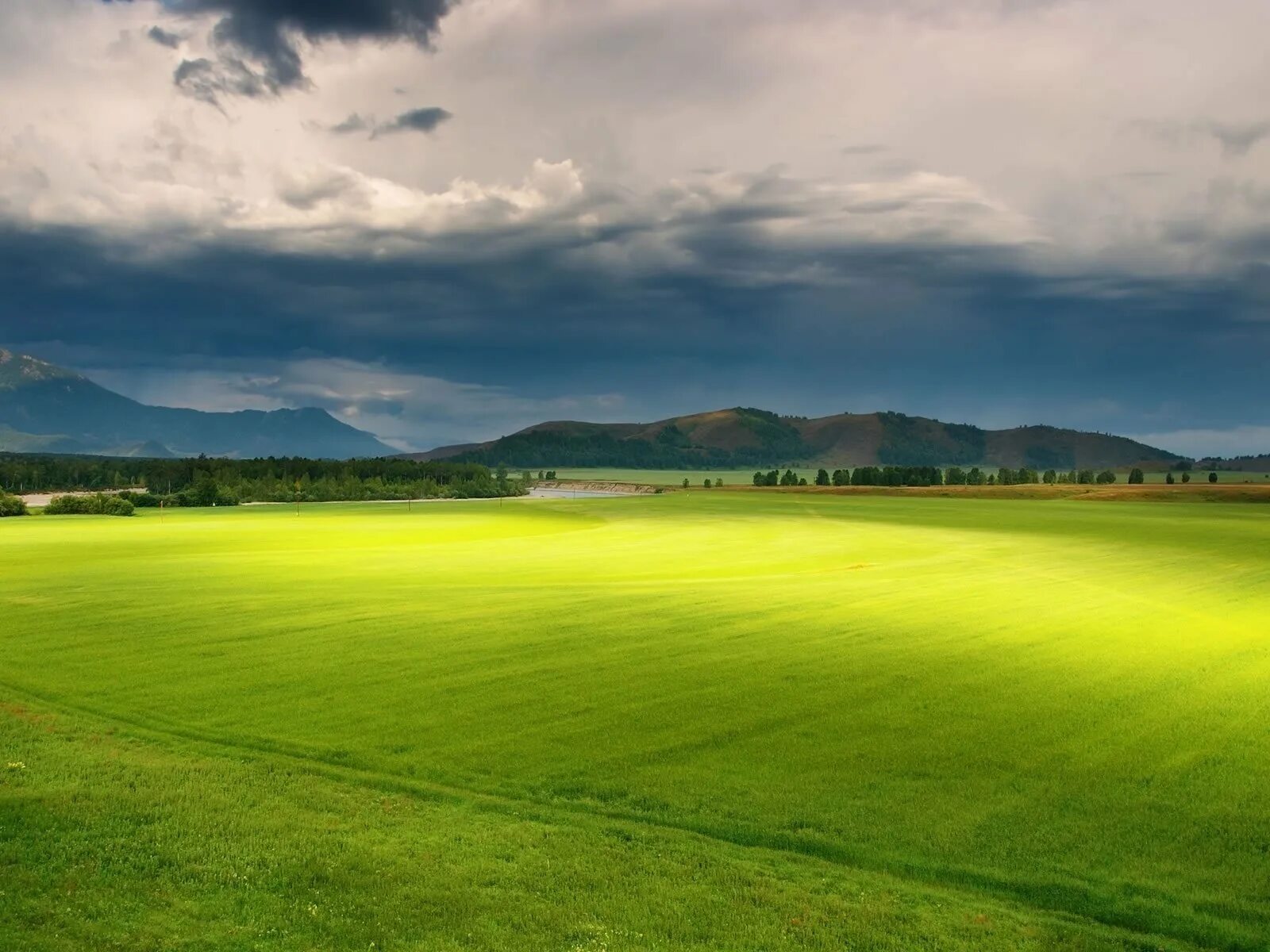 Красивое поле. Красивое поле. Поле и небо. Коричневая трава в поле. Летний пейзаж.