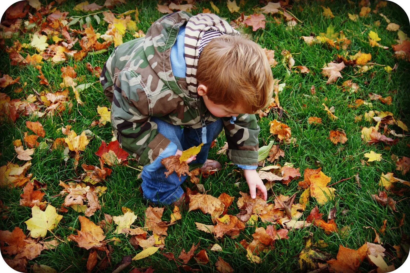 Мальчик в осенних листьях. Дети собирают осенние листья. Collecting leaves для детей. Люди собирают осенние листья.