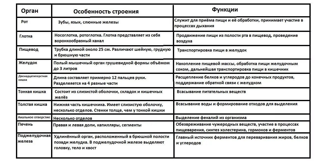 Таблица по пищеварению 8 класс биология. Строение и функции пищеварительной системы таблица. Пищеварительная система человека строение и функции таблица. Органы пищеварительной системы системы строение функции таблица. Пищеварительная система таблица название органа строение и функции.