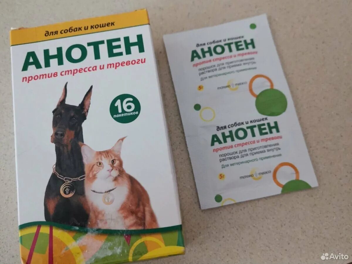 Анотен отзывы. Анотен для собак. Анотен отзывы. Анотен отзывы. Лекарство от стресса.