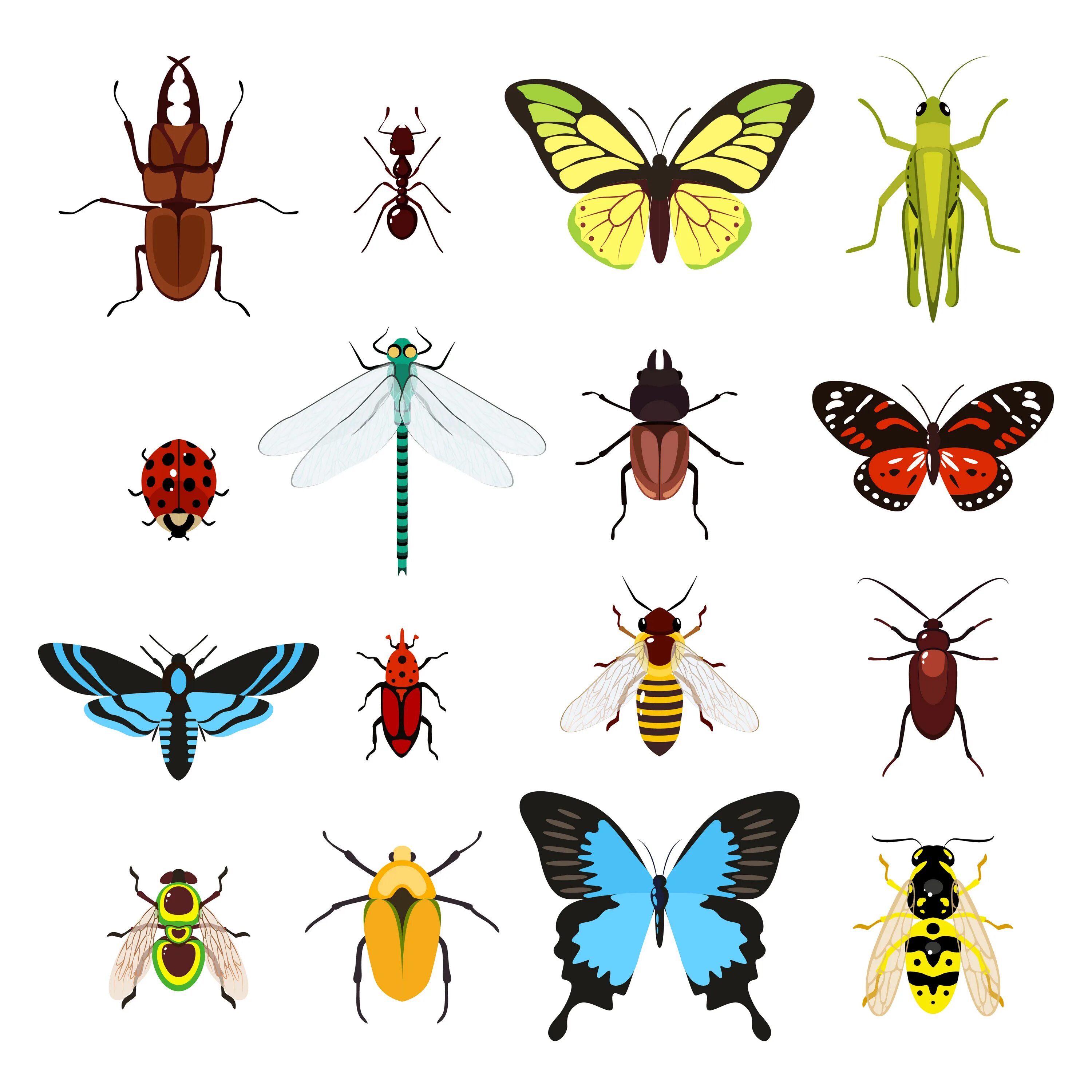 Разноцветные жуки и бабочки. Разные насекомые. Насекомые для вырезания. Насекомые картинки для детей. Насекомые вектор.