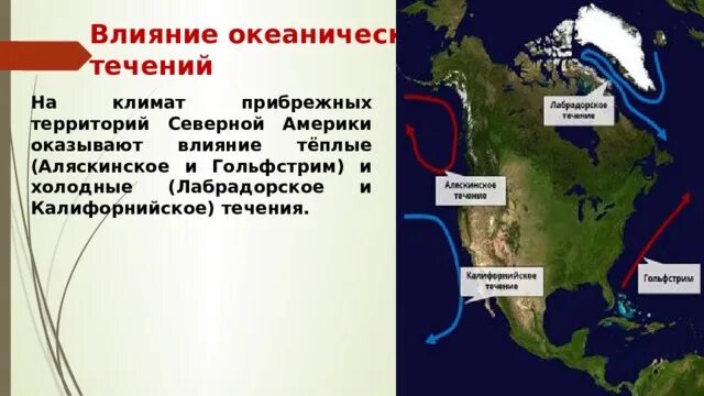 Какое океаническое течение оказывает наибольшее влияние. Северная Америка течения: Гольфстрим, Лабрадорское, калифорнийское. Течения Северной Америки. Теплое и Холодное течение Северной Америки. Теплые течения Северной Америки.