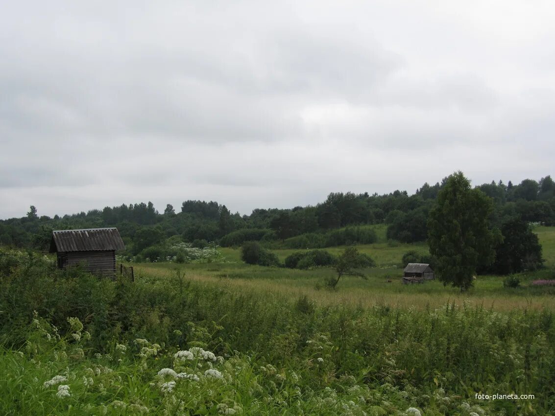 Погода в петуховке брянская область. Борщово ленинградская область. Село борщово. Село борщово. Деревня борщово.