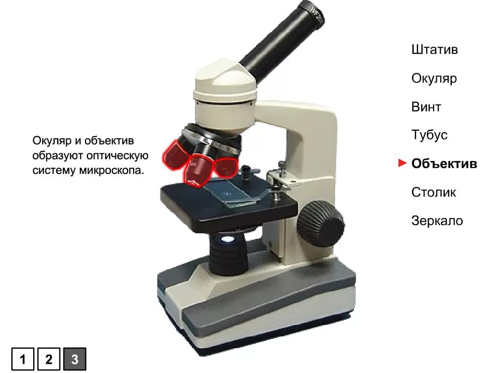 Тубус цифрового микроскопа. Цифровой микроскоп окуляр объектив зеркало. Окуляр с тубусом для микроскопа. Окуляры микроскопа Микмед. Иммерсионный Водный объектив микроскопа.