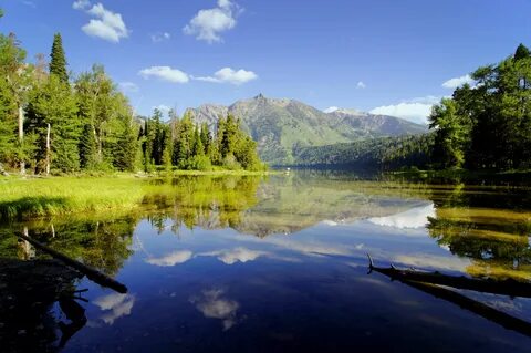 Картинка природа озера