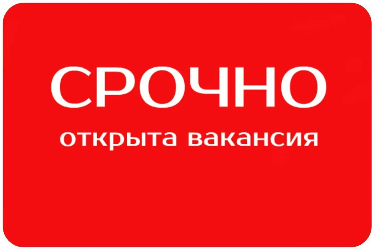 Вакансия это. Срочная вакансия. Срочно открыта вакансия. Картинка срочно требуется. Срочно работа.