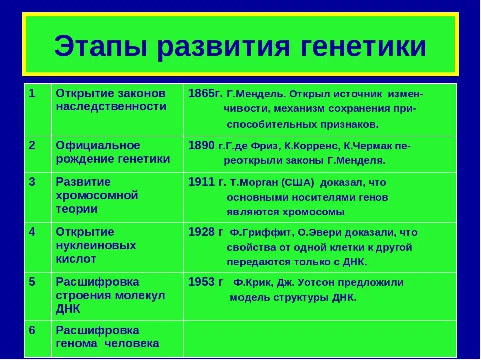 Установи хронологическую последовательность событий мендель