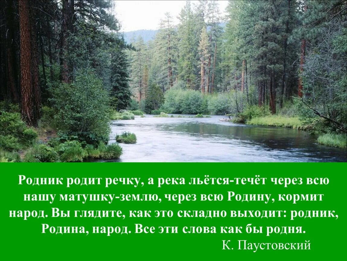 Родник родит речку а река. Родина Родник народ родня. Река однокоренные слова. Родник Родина народ однокоренные слова. А река течет автор текста