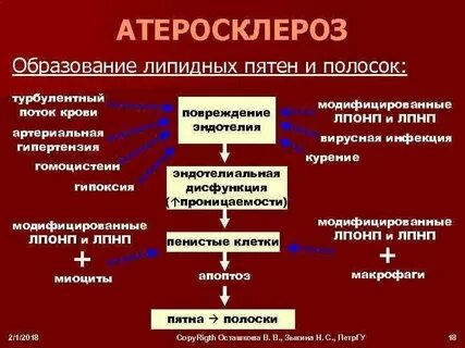 Атеросклероз биохимия