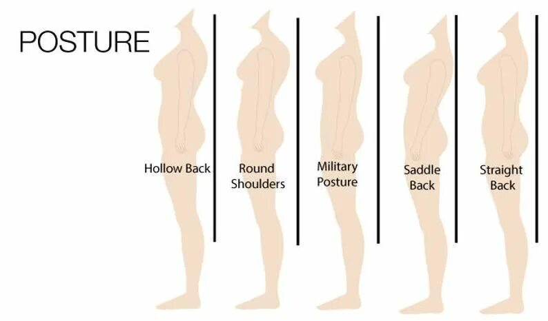 Made to measure. Small straight back. Straight back