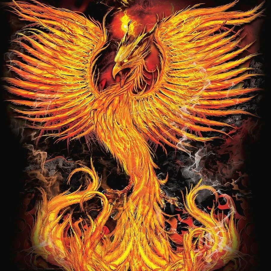 Phoenix sl