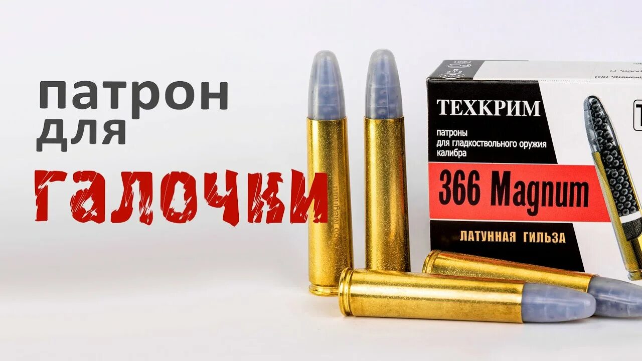 Патрон 366 ткм магнум. 366 дробовой. 366 дробовой. 366 дробовой. 366 дробовой.
