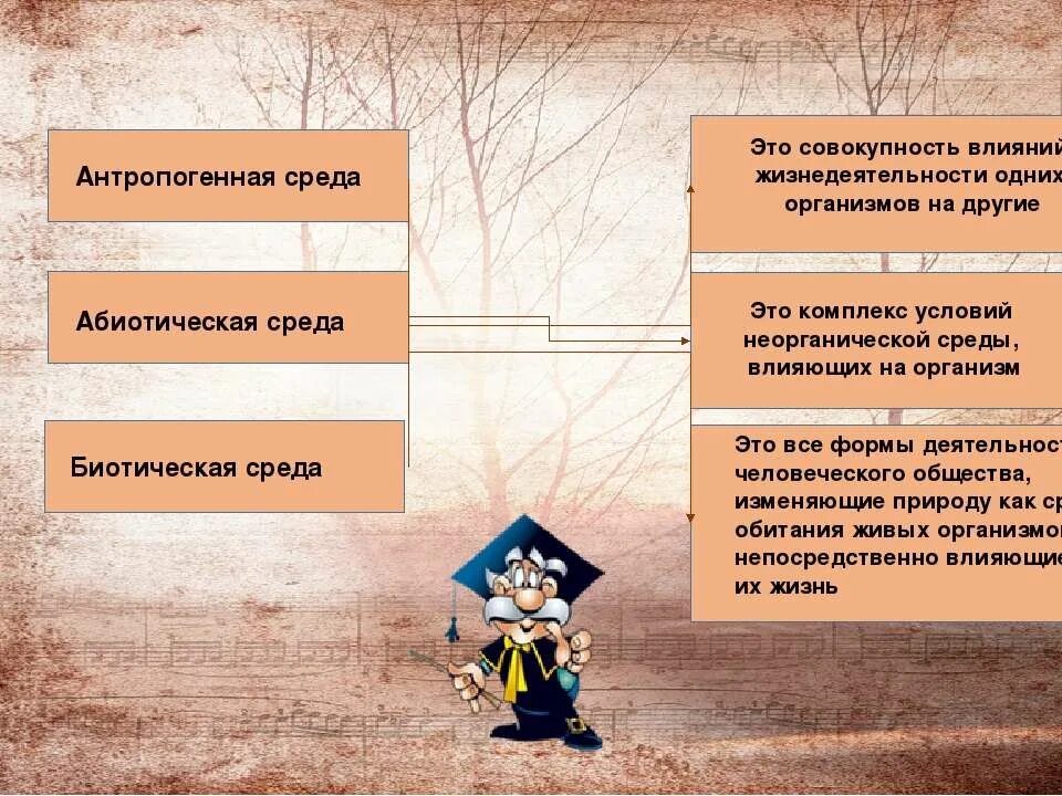 Среда обитания это совокупность факторов. Антропогенная среда. Антропогенная среда обитания. Антропогенные факторы среды обитания. Антропогенная среда особенности.