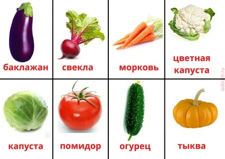 Карточки домана овощи