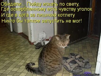 Пойду искать по свету где оскорбленному