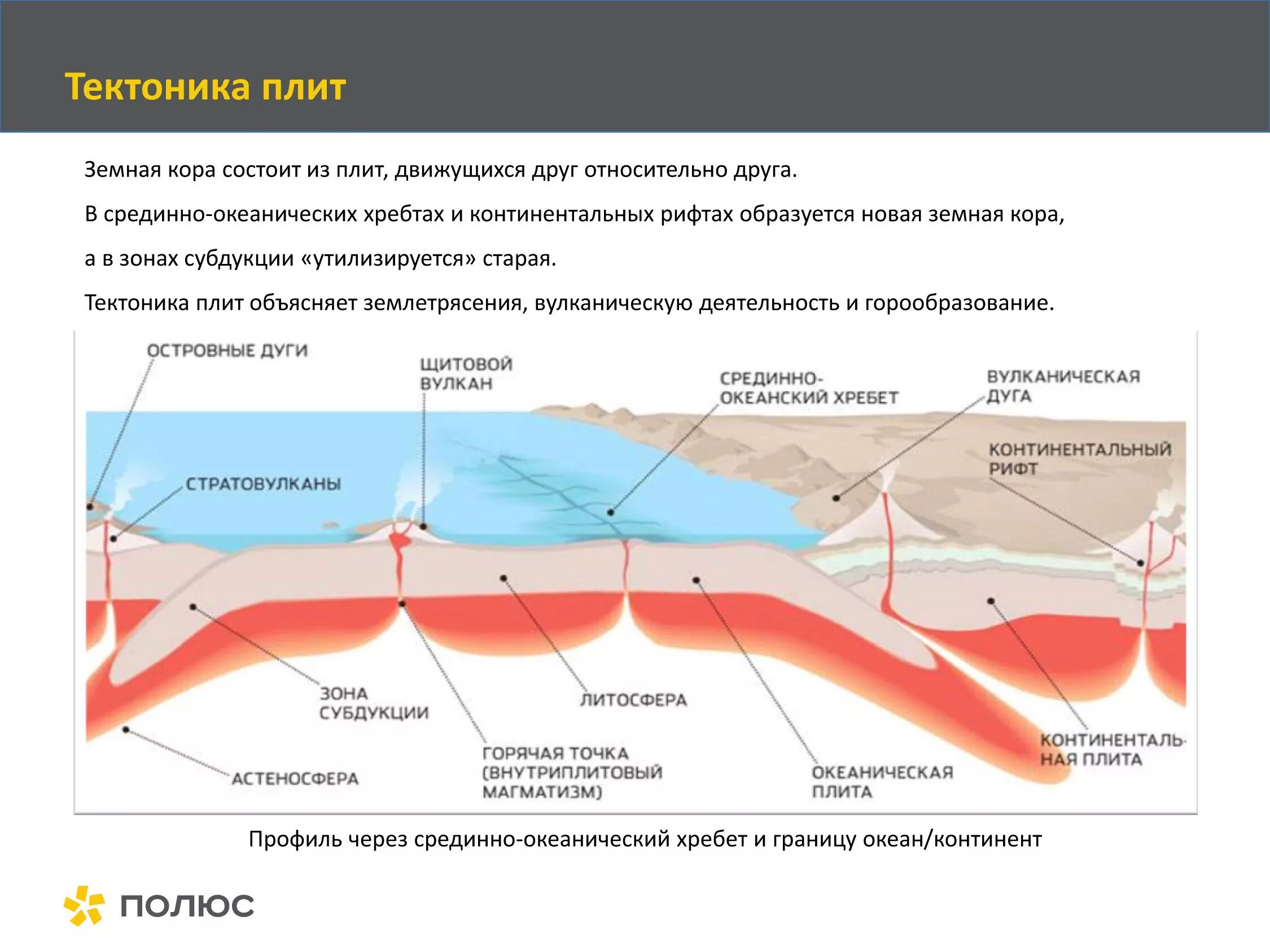 Движение литосферных плит спрединг. Понятие тектоники. Границы литосферных плит европа. Схема движения тектонических плит. Определение тектоники.