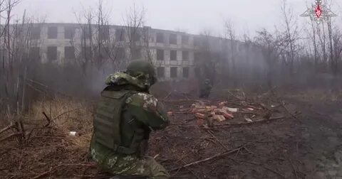 Бои за синьковку 2023