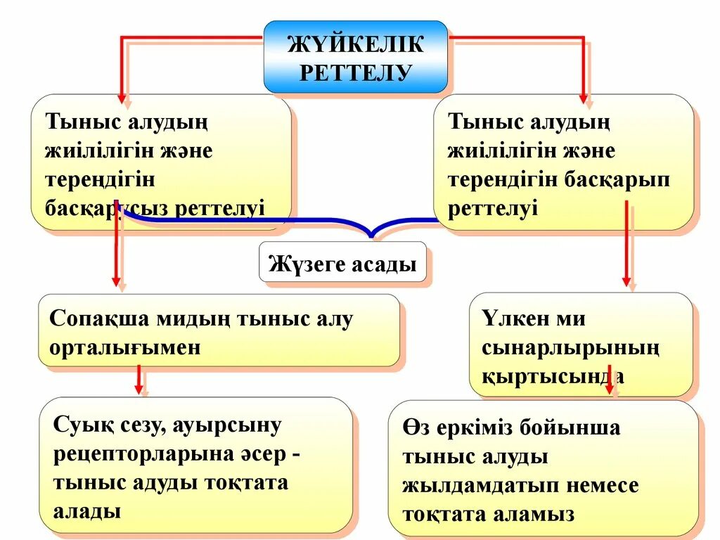 Тыныс алу жүйесінің Медбикелік күтім презентация. Тыныс АО Казахстан. Гуморалдык реттелу физиология. Тыныс АО, гособоронзаказ.