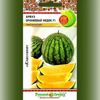 Дыня медок