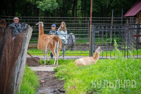 Парк культуры зоопарк