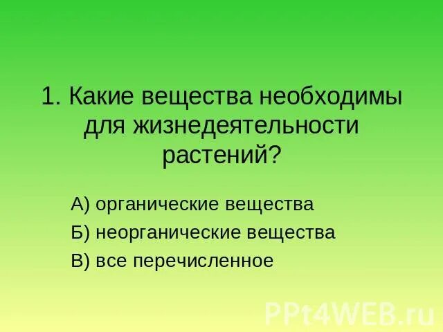 Тест жизнедеятельности клетки. Жизнедеятельность растений. Процессы жизнедеятельности растений. Неорганические вещества растений. Основные процессы жизнедеятельности растений.