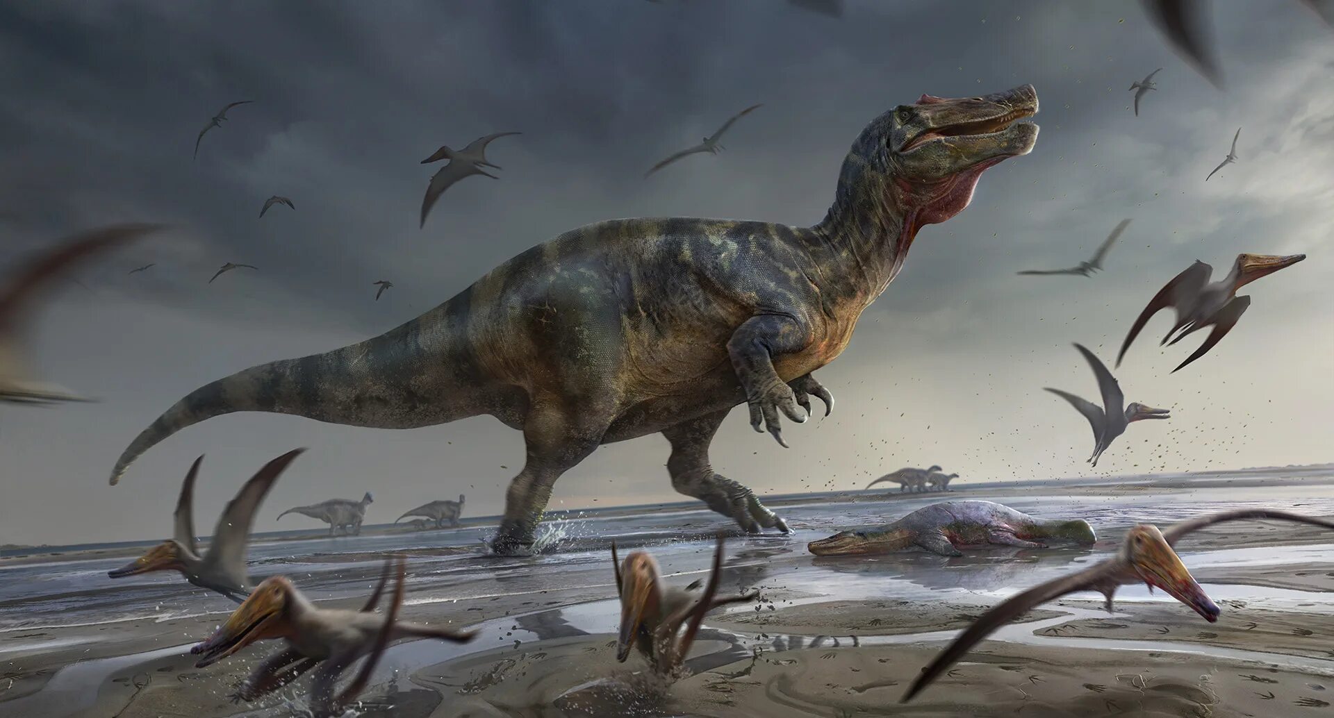 Крупнейший хищник на земле. Спинозавр спинозавриды. Спинозавриды спинозавриды. Спинозавр the Isle. Спинозавр самый большой хищный динозавр.