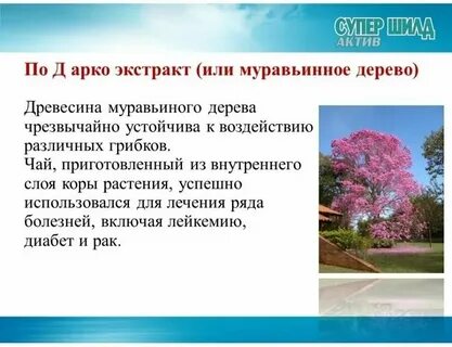 Супер шилд актив