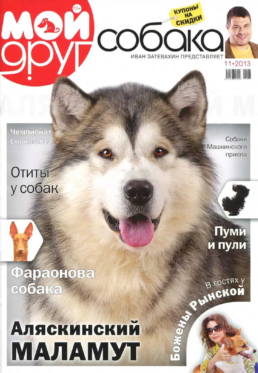 Сайт журнала друг. Журнал собака. Друг собак журнал. Журнал мой друг собака. Журналы о собаках для детей.