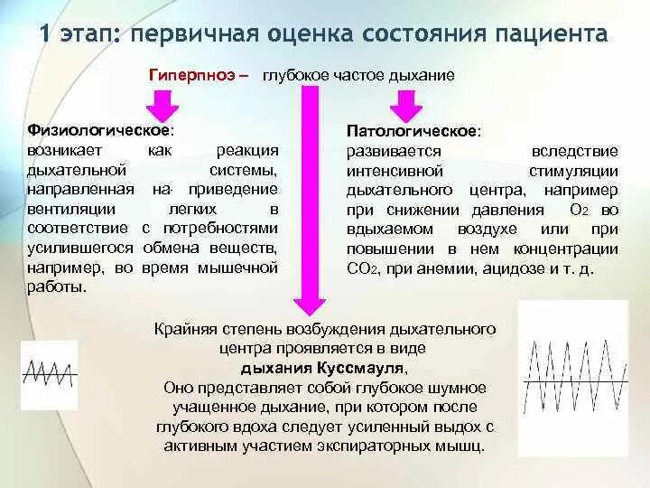 Оценка состояния пациента этап. Первичная оценка потребности в физиологических отправлениях. Физиологические отправления оценивают состояние пациента. Физиологическое состояние больного. Частое дыхание после