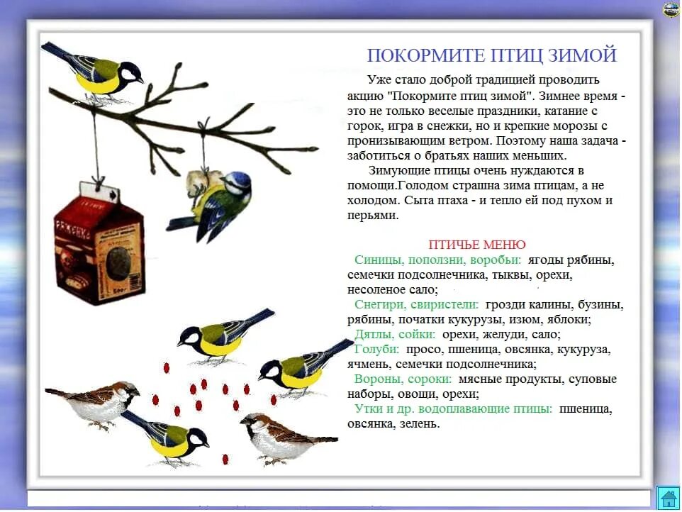 Пение синичек для привлечения в кормушку