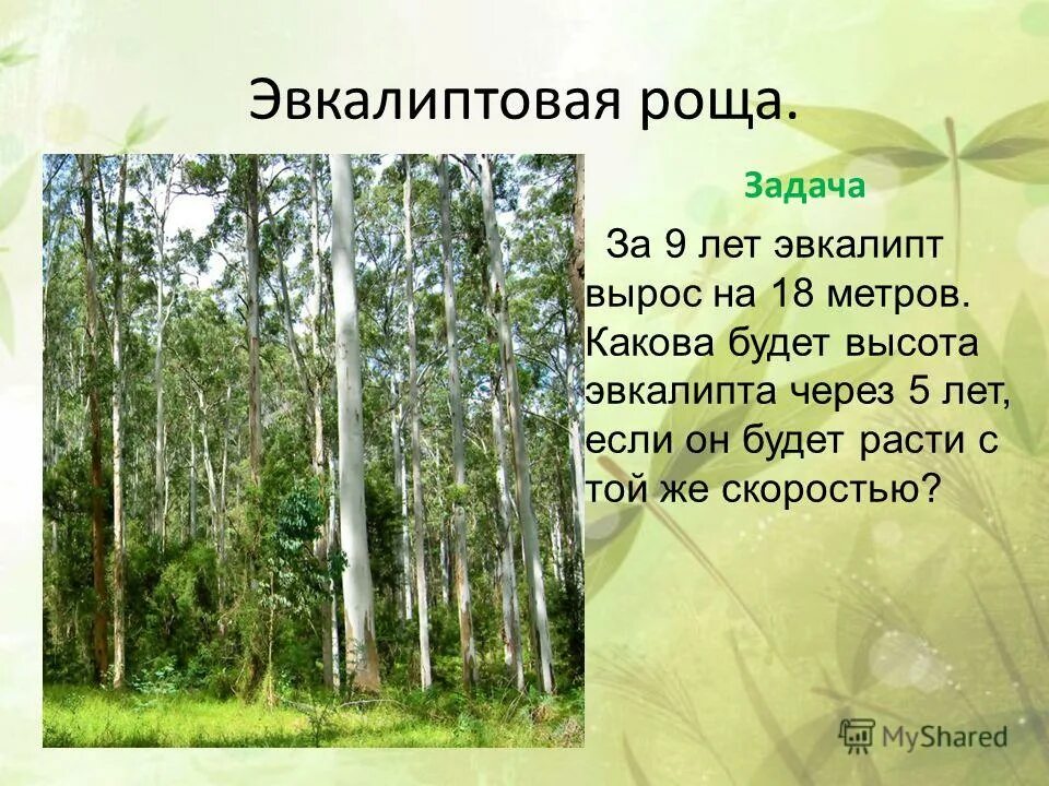 Синонимы упражнения. В роще 240 берез а кленов на 93 меньше. Рощ задач. Запиши по образцу. Рощ задач.