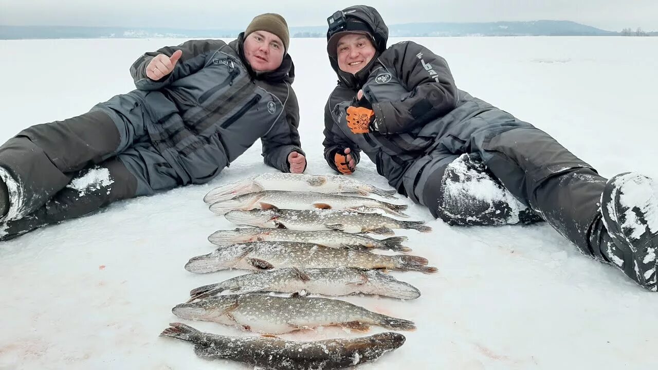 Клев чебоксары. Хмелевка зимняя рыбалка. Васильсурская Слобода рыбалка зимой. Рыбалка на Волге в Васильсурске. Зимняя рыбалка на Волге Васильсурск.